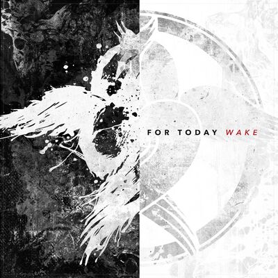 For Today - Broken Lens