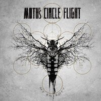 Moth's Circle Flight - Late Promises
