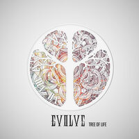 Evolve - Tree Of Life