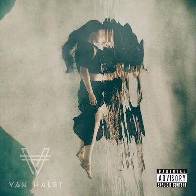 Van Halst - Questions