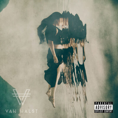 Van Halst - Questions