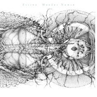 Essenz - Mundus Numen
