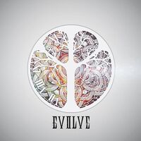 Evolve - Choices