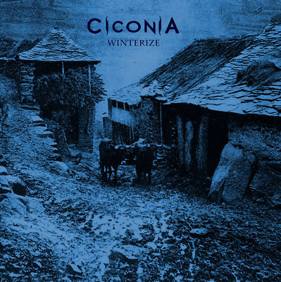 Ciconia - Limbus