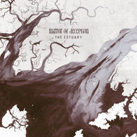 Mirror Of Deception - At My Shore