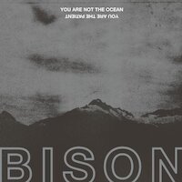 Bison - Until The Earth Is Empty