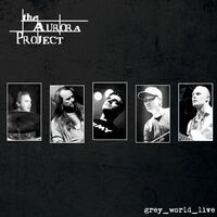 The Aurora Project - grey_world_live