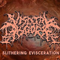 Visceral Disgorge - Architects Of Warping Flesh