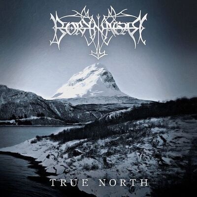 Borknagar - The Fire That Burns