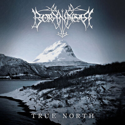 Borknagar - Up North