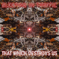 Sleeping In Traffic - (√-π)÷0=1 (The Equation)