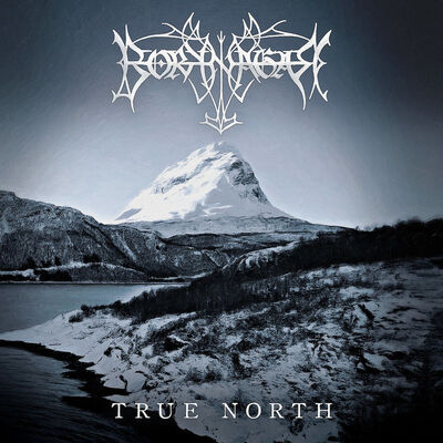 Borknagar - Voices