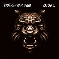 Tygers Of Pan Tang - Destiny