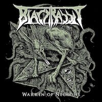 Black Rabbit - Warren of Necrosis