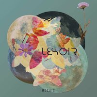 Lesoir - Somebody Like You