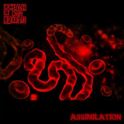 Fear Is Dead - Assimilation