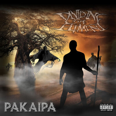 Dividing The Element - Pakaipa