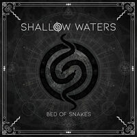 Shallow Waters - Approaching The Unknown