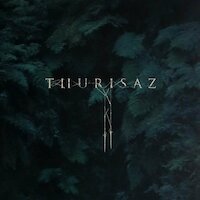 Thurisaz - The Veil
