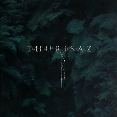 Thurisaz - The Veil