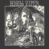 Night Viper - Never Win