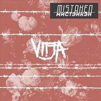 Vitja - Mistaken