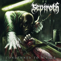 Sepiroth - Embedded Defects