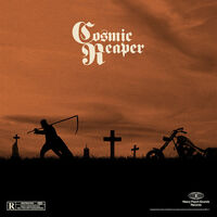 Cosmic Reaper - Wasteland II