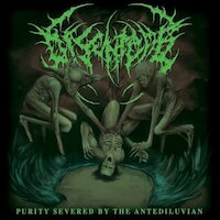 Disentomb - Purity Severed By The Antediluvian