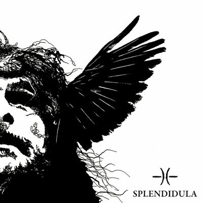 Splendidula - Oculus