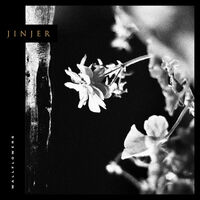 Jinjer - Mediator