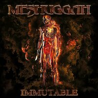 Meshuggah - Broken Cog