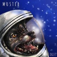 Muster - Drift