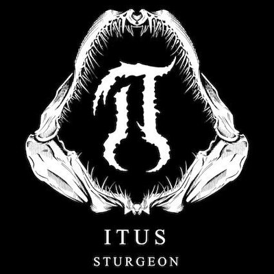 Itus - Sturgeon