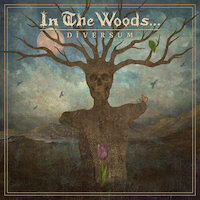 In The Woods... - A Wonderful Crisis