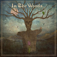 In The Woods... - A Wonderful Crisis