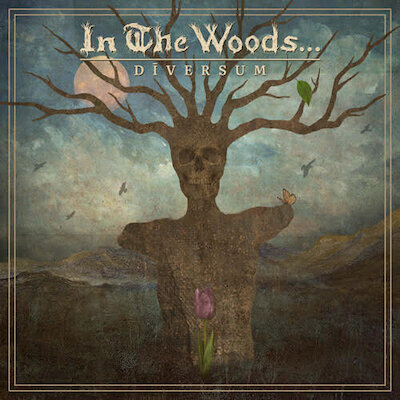 In The Woods... - A Wonderful Crisis