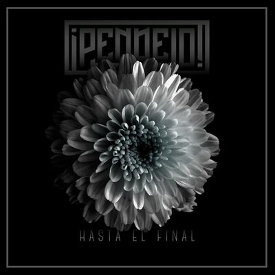 ¡Pendejo! - Hasta El Final