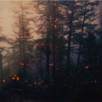 A Flock Named Murder - Garden Of Embers