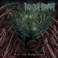 Rotten Brain - Wait For Putrefaction [album stream]