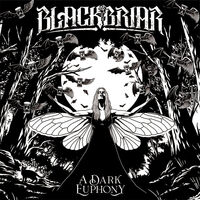 Blackbriar - My Soul's Demise