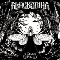 Blackbriar - Cicada