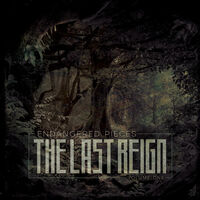 The Last Reign - Endangered Pieces