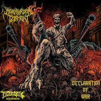 Misanthropik Torment - Declaration Of War [album stream]