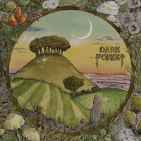 Dark Forest - Ridge & Furrow