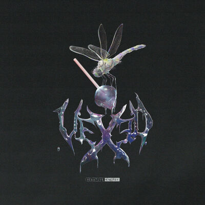 Vexed - Lay Down Your Flowers