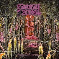 Carnal Tomb - Embalmed In Decay