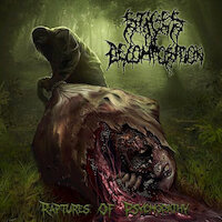 Stages Of Decomposition - Skid Row Slasher