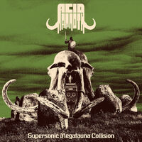 Acid Mammoth - Atomic Shaman