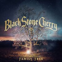 Black Stone Cherry - Southern Fried Friday Night